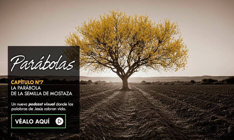Parábolas / Capítulo 7